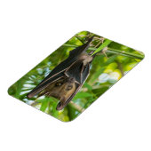 Becken Magnet (Linke Seite)