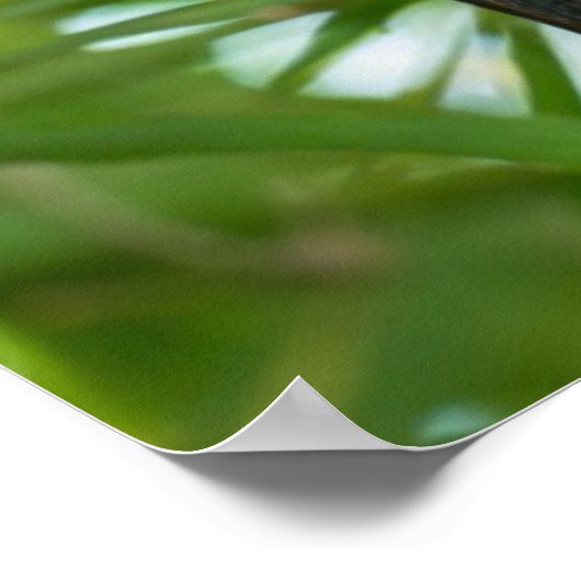 Becken Poster (Ecke)