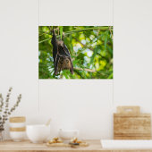 Becken Poster (Küche)