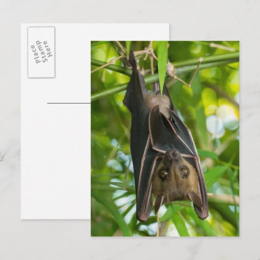 Becken Postkarte (Vorne/Hinten)