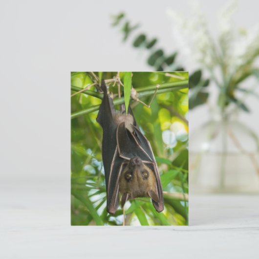 Becken Postkarte (Stehend Vorderseite)