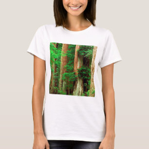 Becken-Rotholz-Park Waldalter Giants großer T-Shirt