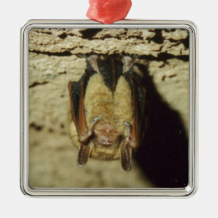 Becken Silbernes Ornament