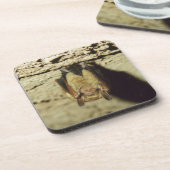 Becken Untersetzer (Linke Seite)