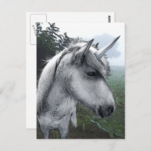 Becky's Unicorn Postkarte (Vorne/Hinten)