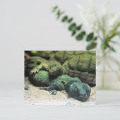 Bed Buddies Postcard Postkarte (Stehend Vorderseite)