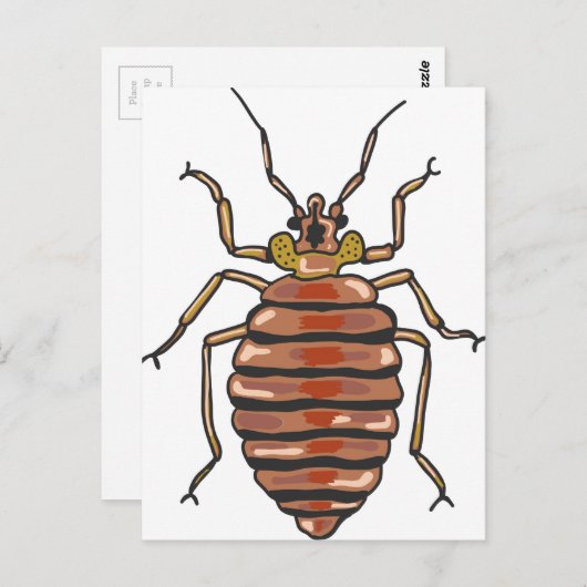 Bed Bug Sketch Postkarte (Vorne/Hinten)