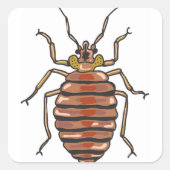 Bed Bug Sketch Quadratischer Aufkleber (Vorderseite)