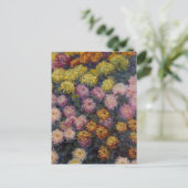 Bed of Chrysanthemas von Claude Monet Postcard Postkarte (Stehend Vorderseite)