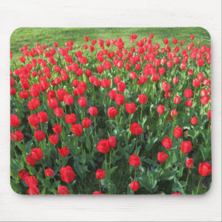 Bed of Red Tulips 01 Mousepad