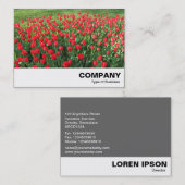 Bed of Red Tulips 01 Visitenkarte (Vorne/Hinten)