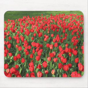 Bed of Red Tulips 02 Mousepad