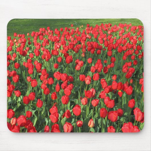 Bed of Red Tulips 02 Mousepad (Vorne)