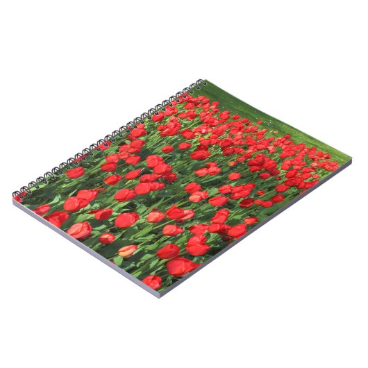 Bed of Red Tulips 02 Notizblock (Linke Seite)