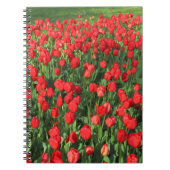 Bed of Red Tulips 02 Notizblock (Vorderseite)
