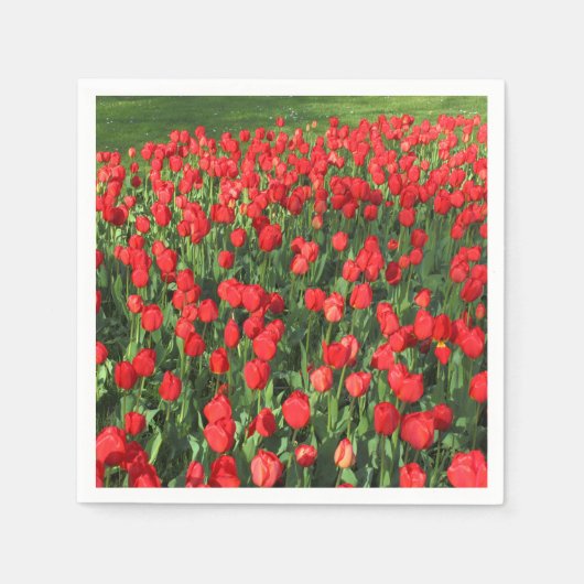 Bed of Red Tulips 02 Serviette (Vorderseite)