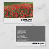 Bed of Red Tulips 02 Visitenkarte (Vorne/Hinten)