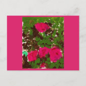 Bed of Roses Postkarte (Vorderseite)