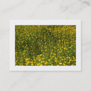 Bed of Yellow Daisies (grenzt) Visitenkarte