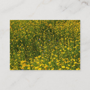 Bed of Yellow Daisies Visitenkarte