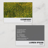 Bed of Yellow Daisies Visitenkarte (Vorne/Hinten)