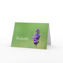 Bedankt - Danke in Niederländisch mit Lavendel-Blu