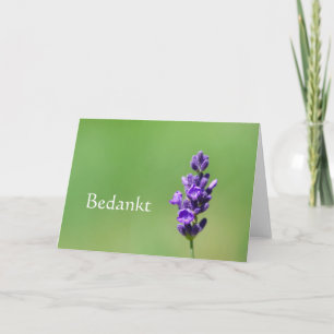 Bedankt - Danke in Niederländisch mit Lavendel-Blu