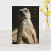 Bedauern - ich bin SoSorry Entschuldigung oder Karte (Gelbe Blume)