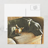 Bedauern Postkarte (Vorne/Hinten)