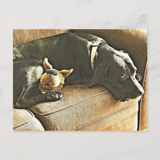 Bedauern Postkarte (Vorderseite)