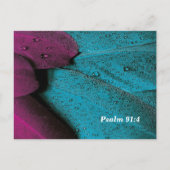 Bedecken Sie mich mit Ihren Federn Postkarte (Rückseite)