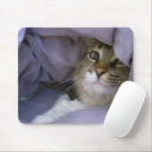 Bedeckte Miezekatze Mousepad (Mit Mouse)