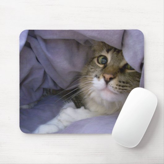 Bedeckte Miezekatze Mousepad (Mit Mouse)