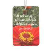 Bedenken Sie nicht die Christliche Bibel der wilde Autolufterfrischer (Rückseite)