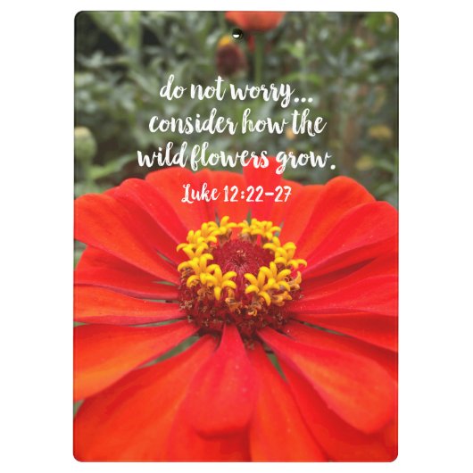 Bedenken Sie nicht die Christliche Bibel der wilde Klemmbrett (Rückseite)