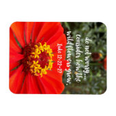 Bedenken Sie nicht die Christliche Bibel der wilde Magnet (Horizontal)