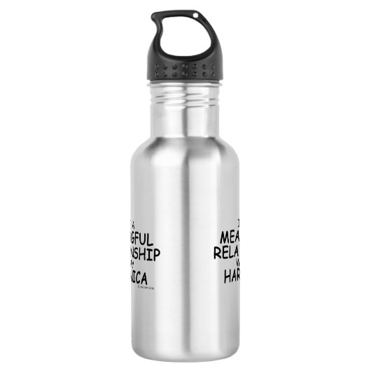 Bedeutende Beziehung Harmonica Edelstahlflasche (Rückseite)