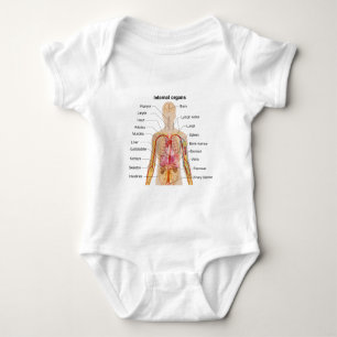 Bedeutende innere Organe im menschlicher Baby Strampler