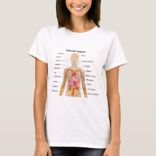 Bedeutende innere Organe im menschlicher T-Shirt