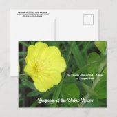 Bedeutung der Gelben Blume Postkarte (Vorne/Hinten)