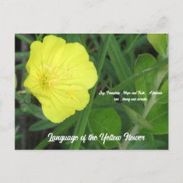 Bedeutung der Gelben Blume Postkarte