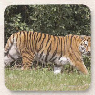 Bedfordshire, England 2 Getränkeuntersetzer