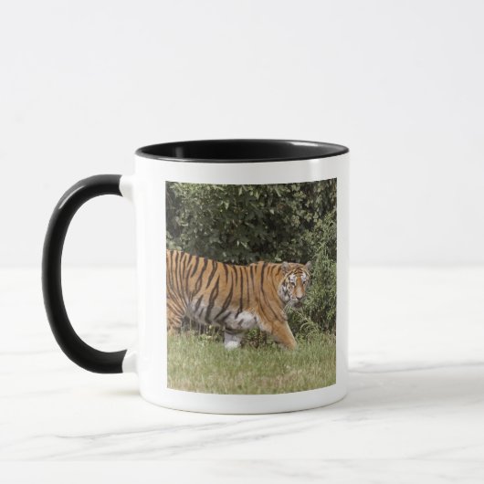 Bedfordshire, England 2 Tasse (Links)