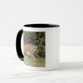 Bedfordshire, England 2 Tasse (Vorderseite Links)