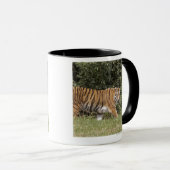 Bedfordshire, England 2 Tasse (VorderseiteRechts)