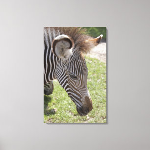 Bedfordshire, England Leinwanddruck