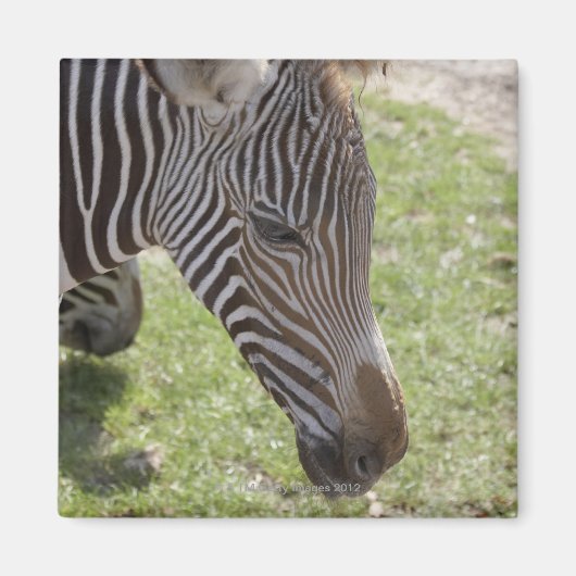 Bedfordshire, England Magnet (Vorne)