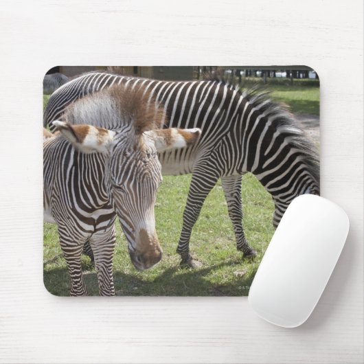 Bedfordshire, England Mousepad (Mit Mouse)