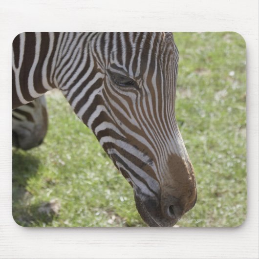 Bedfordshire, England Mousepad (Vorne)