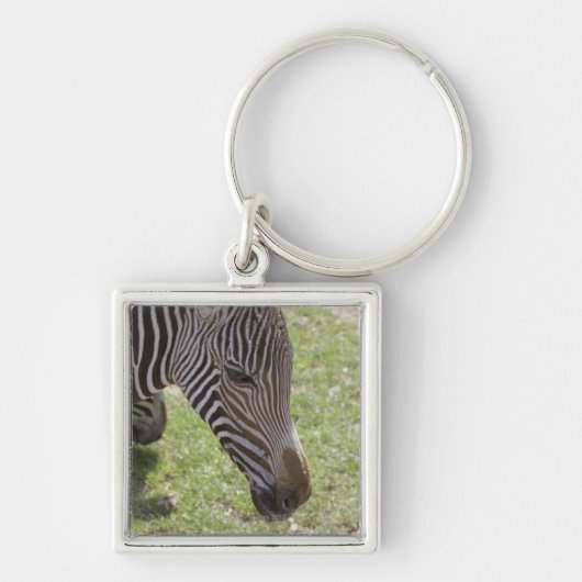 Bedfordshire, England Schlüsselanhänger (Vorne)